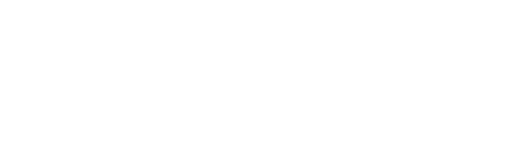 Rise Group